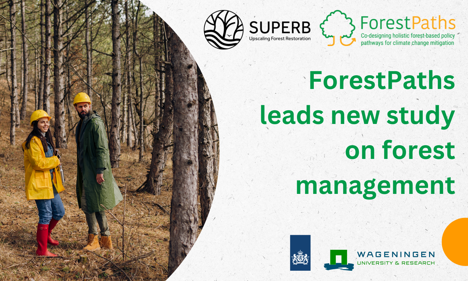 ForestPaths partners lead a new study on forest management’s effects on flora and fauna