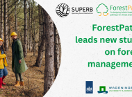 ForestPaths partners lead a new study on forest management’s effects on flora and fauna