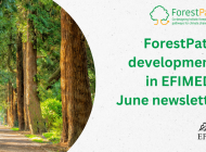 ForestPaths' latest developments featured in EFIMED's June 2025 newsletter