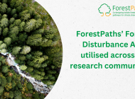 ForestPaths’ updated European Forest Disturbance Atlas is utilised across the research community
