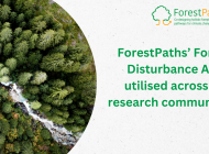 ForestPaths’ updated European Forest Disturbance Atlas is utilised across the research community