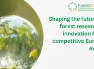 Shaping the future of forest research & innovation for a competitive Europe event