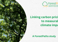 Linking carbon pricing to measurable climate impact: a ForestPaths study