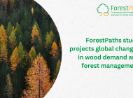 New ForestPaths study projects global changes in wood demand and forest management