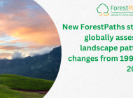 New ForestPaths study globally assesses landscape pattern changes from 1992 to 2020