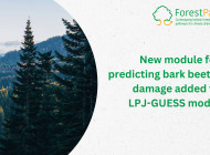 New module for predicting bark beetle damage added to LPJ-GUESS model