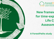 ForestPaths study provides a new framework for time-explicit Life Cycle Assessment