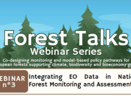 Third edition of ForestTalks: Integrating EO data in National Forest Monitoring and Assessment