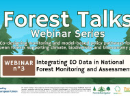 Forest Talks webinar explores integrating Earth observation and national forest inventories across Europe