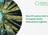 EFI releases new policy brief on the future of European forest disturbance regimes