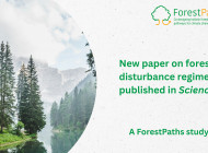 ForestPaths partners contribute to Science study on Europe's forest disturbance regimes