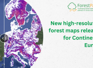 New high-resolution forest maps released for Continental Europe
