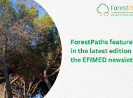 ForestPaths featured in the latest edition of the EFIMED newsletter