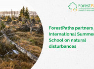 ForestPaths partners join International Summer School on natural disturbances